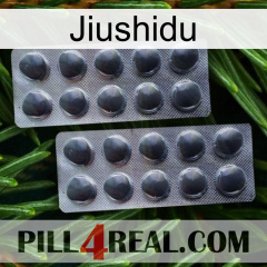 Jiushidu 31